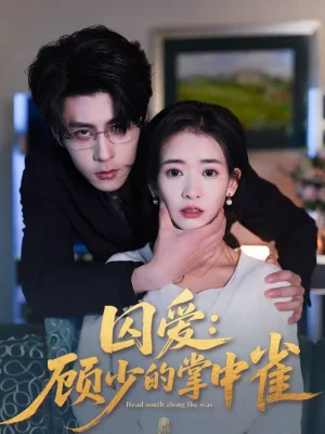 囚愛(ài)：顧少的掌中雀（70集）安奕明＆劉姝妤 - 短劇資源下載