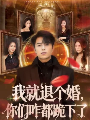 我就退個婚，你們咋都跪下了（66集）韓宇宏＆白淼