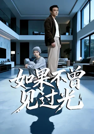 如果不曾見過光（25集）Ai短劇