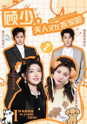 顧少，夫人又在拆家啦（78集）希爾力＆常丹丹