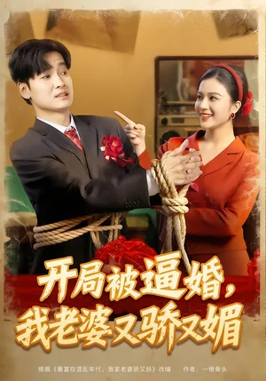 開局被逼婚，我老婆又驕又媚（74集）劉國文＆崔栩淙