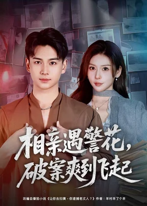 相親遇警花，破案爽到飛起（80集）夏夢(mèng)＆范高坡