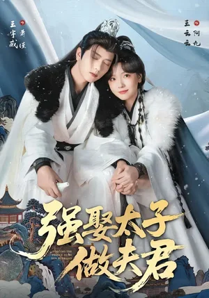 強娶太子做夫君（67集）王宇威＆王云云