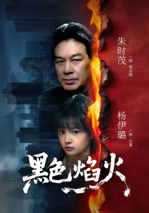 黑色焰火（41集）朱時茂＆楊伊璐 - 短劇資源下載