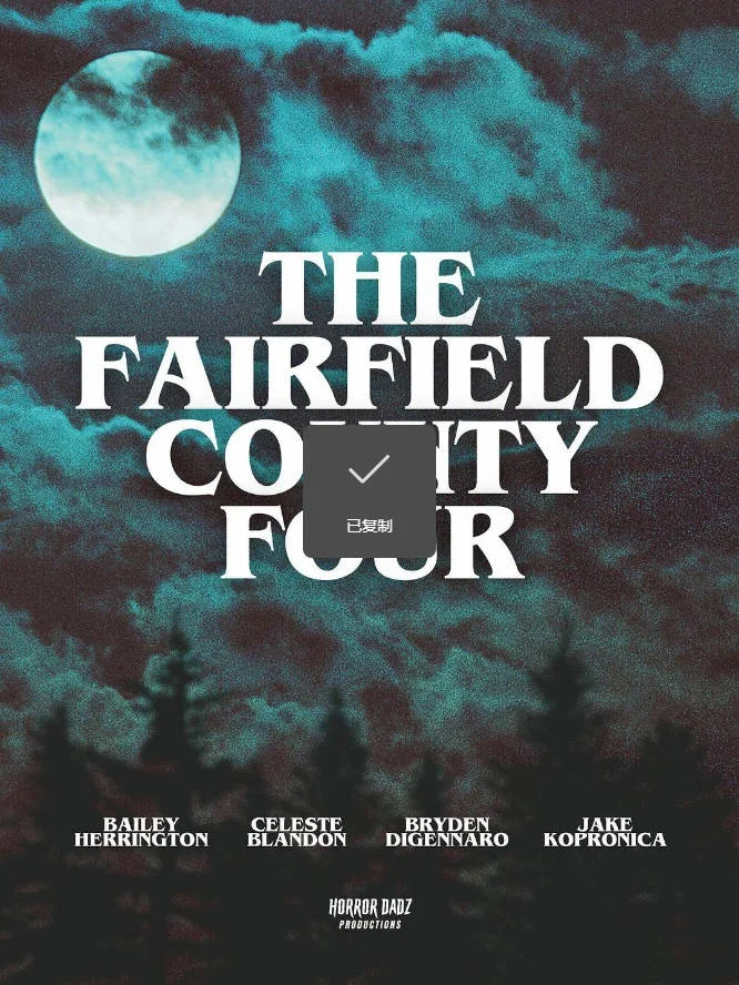 美國(guó)電影《費(fèi)爾菲爾錄像帶》 [2025][驚悚 恐怖][夸克網(wǎng)盤(pán)]