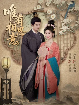 唯有相思意（100集）舒暢＆舒童