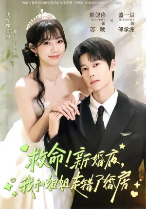 救命！新婚夜，我和姐姐走錯(cuò)了婚房（58集）盛一辰＆趙偲佟