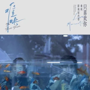 《群星.2025 - 難哄 影視原聲帶【FLAC分軌】》 《群星.2025 - 難哄 影視原聲帶【FLAC分軌】》 - 短劇資源下載