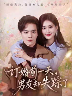 訂婚前一天，男友卻失蹤了（60集）杰士鳴＆丁語喬 - 短劇資源下載