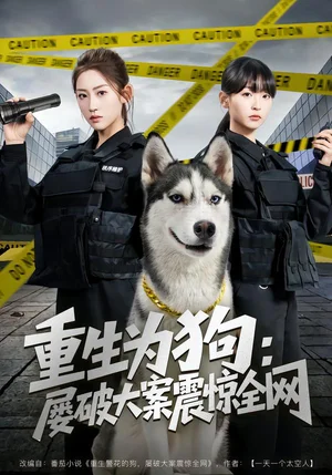 重生為狗屢破大案震驚全網(wǎng)(80集)王冰星&范經(jīng)明 重生為狗屢破大案震驚全網(wǎng)(80集)王冰星&范經(jīng)明 - 短劇資源下載