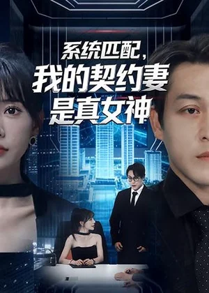 系統(tǒng)匹配，我的契約妻是真女神（53集）王煎妮＆夏嘉順 - 短劇資源下載