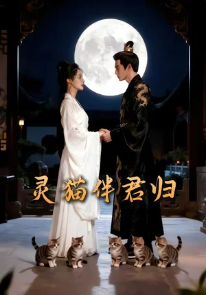 靈貓伴君歸（21集）Ai短劇