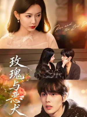 玫瑰與惡犬（80集）馬義炎＆盛晨 - 短劇資源下載