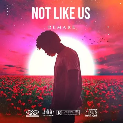 Not Like Us (Remake)-Chikhaoui Mohamed