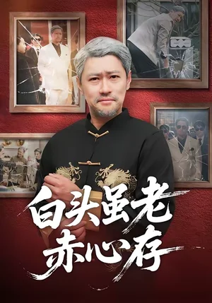 白頭雖老赤心存（71集）王爭＆王晨 - 短劇資源下載