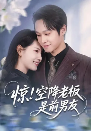 驚！空降老板是前男友（65集）董潔&王金澤 - 短劇資源下載