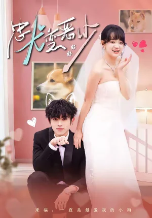 驚！我家來福變惡少了＆忠犬變惡少（80集）曹竣柯＆趙影 - 短劇資源下載