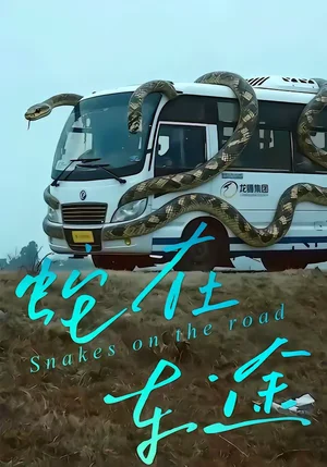 蛇在車途（34集）何子茜＆熊月良 - 短劇資源下載