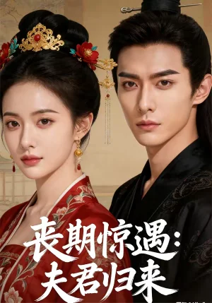 喪期驚遇：夫君歸來（49集）AI短劇