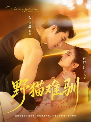 野貓難馴（73集）金佳遇&付妤舒 - 短劇資源下載