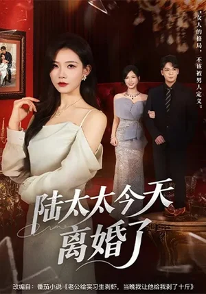 陸太太今天離婚了（59集）劉燦&丁敬一 - 短劇資源下載