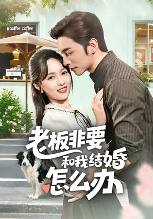 老板非要和我結(jié)婚怎么辦（50集）王博&李媛菁 - 短劇資源下載