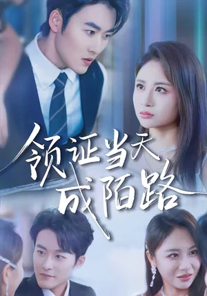 領(lǐng)證當(dāng)天成陌路（39集）姜博龍＆李佳樂 - 短劇資源下載