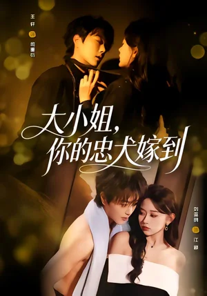 大小姐，你的忠犬嫁到（80集）王軒＆劉藍(lán)鴿 - 短劇資源下載