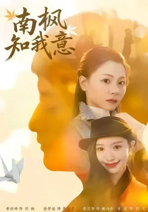 南楓知我意（41集）徐夢(mèng)瑤＆黃躍峰 - 短劇資源下載