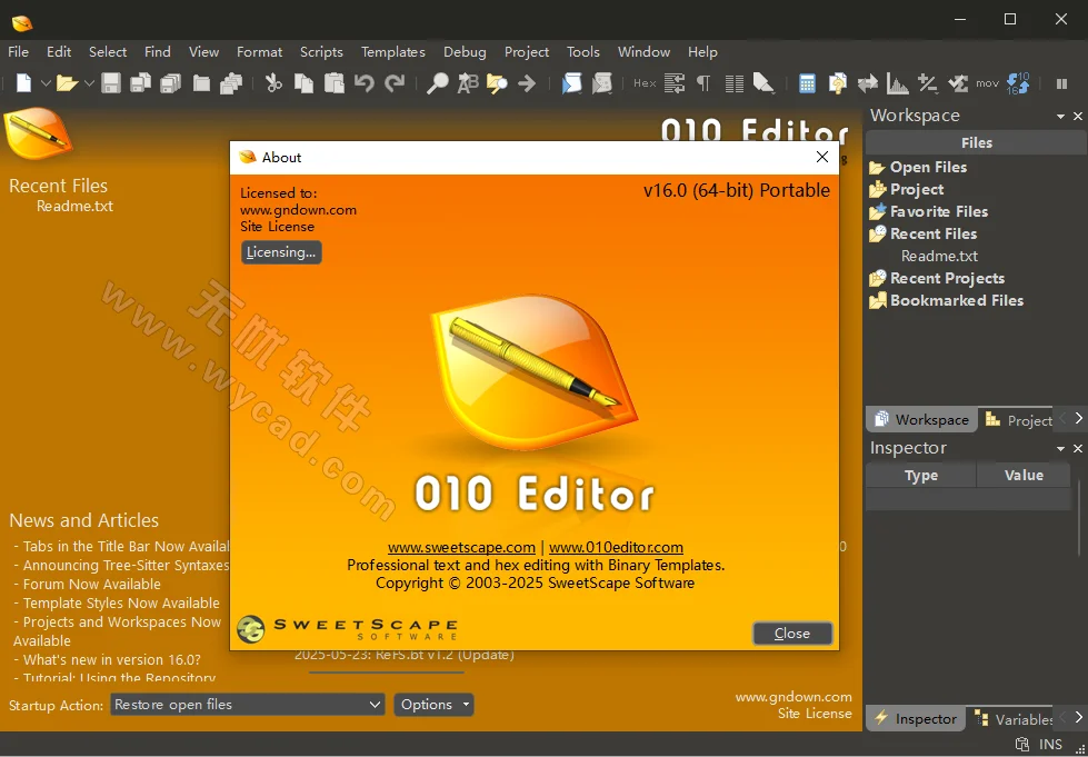 十六進(jìn)制編輯器 | SweetScape 010 Editor v16.0.4 中英文破解版