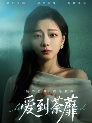 愛到荼蘼（63集）彭靜＆張振東 - 短劇資源下載