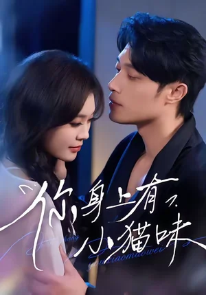 你身上有小貓味（47集）韓悅&一安羊 - 短劇資源下載