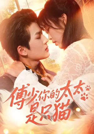 傅少，你的太太是只貓（64集）趙偲佟&向明 - 短劇資源下載