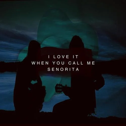I Love It When You Call Me Senorita-Lil Preemp