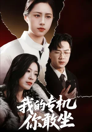 我的專機(jī)你敢坐（62集）王婧琦＆周家洪