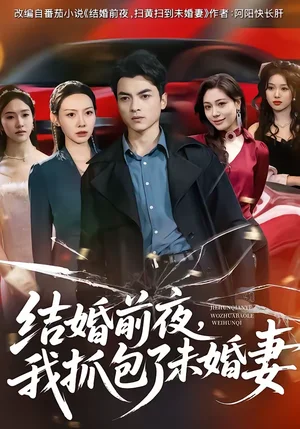 結(jié)婚前夜，我抓包了未婚妻（80集）朱宣甫＆趙維怡 - 短劇資源下載