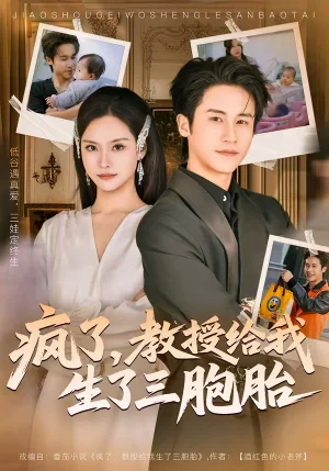 瘋了，教授給我生了三胞胎（79集）孫航＆李苗苗 - 短劇資源下載