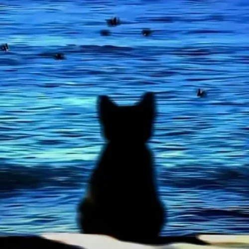 冬天的约定 (纯音乐)-TuTacii