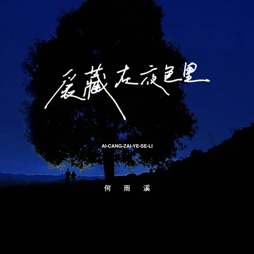 爱藏在夜色里-何雨溪