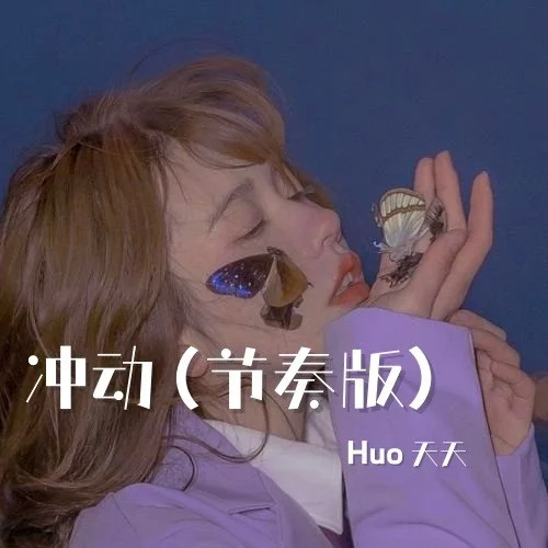 冲动 (节奏版)-Huo天天