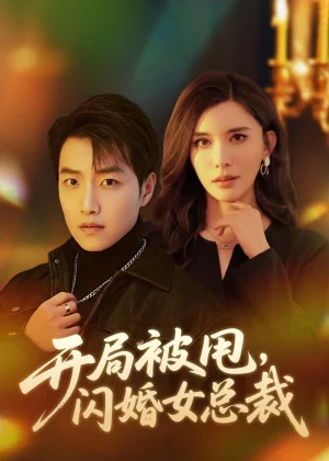 开局被甩闪婚女总裁(80集)任志鹏&王希如 开局被甩闪婚女总裁(80集)任志鹏&王希如 - 短剧资源下载
