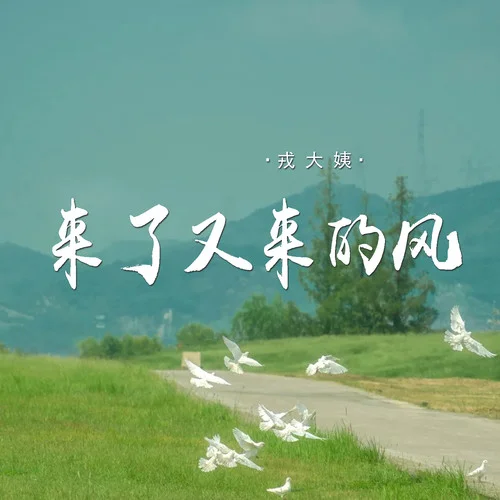 来了又走的风-戎大姨