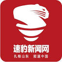 速豹新闻网的网站图标