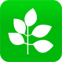 养生之道网的网站logo