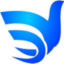 上海询宜企业管理咨询的网站图标