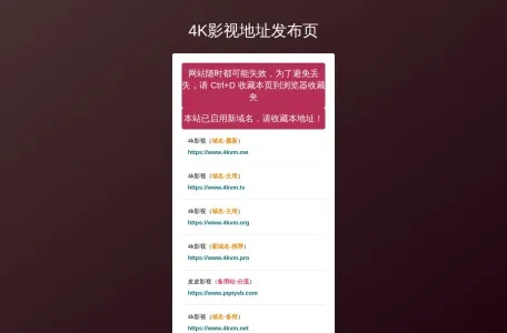 4k影视的网站截图