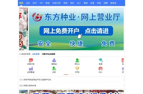 国际大蒜贸易网的网站截图