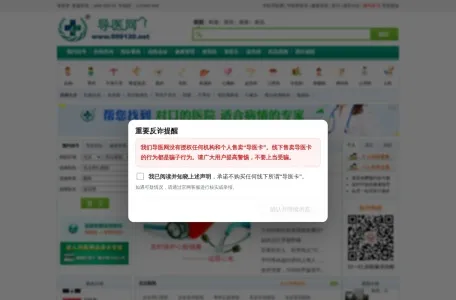 导医网的网站截图