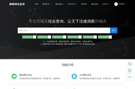 麒麟域名检测的网站截图