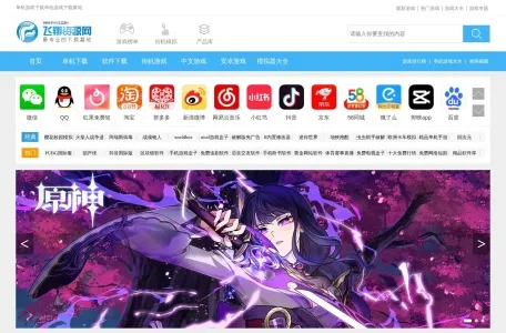 飞游游戏的网站截图